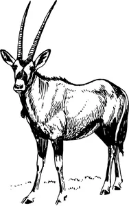 Вінтажний орікс