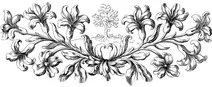 Вінтажний роздільник