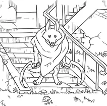 Werewolf on haunted house steps