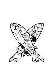 X — рентгенівська рибка