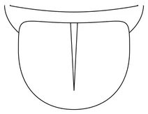 Язик