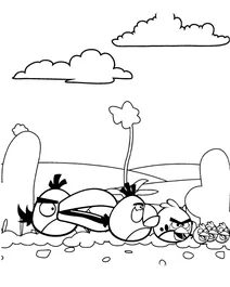 Загін angry birds у пустелі