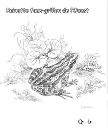 Західна хорус-жабка