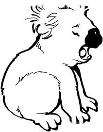 Засмучена коала