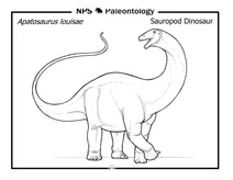 Зауропод динозавр (apatosaurus louisae)