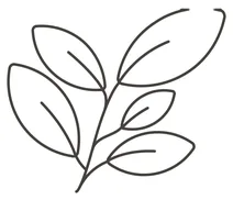 Зелень