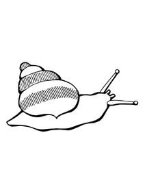 Земляний равлик