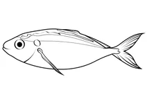 Жовтосмугастий скад (selaroides leptolepis)