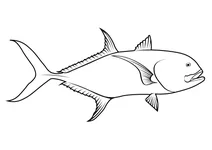 Жовтий каранг (caranx hippos)