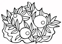 Журавлина