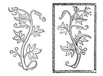 Зітван, 1497-1500